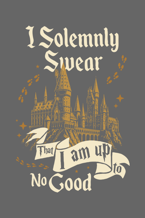 Camiseta Harry Potter CINZA – Oversized